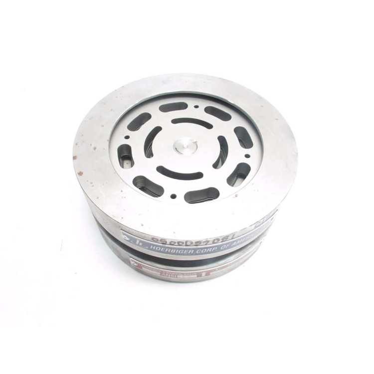 Hoerbiger 1104885 Compact-a Check Ansi 150 6 In Check Valve