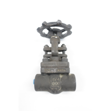 Ilshin 8B05 Manual 800 Steel 3/4in Npt Globe Valve