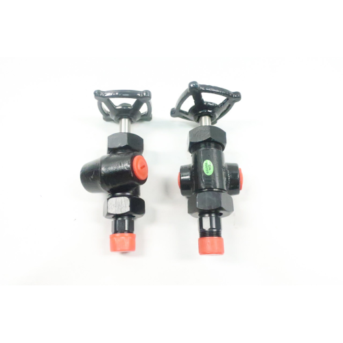 Jerguson 146-1-132AB 146-1-133AB Steel Ballcheck Valve Set 1/2in X 3/4in Npt