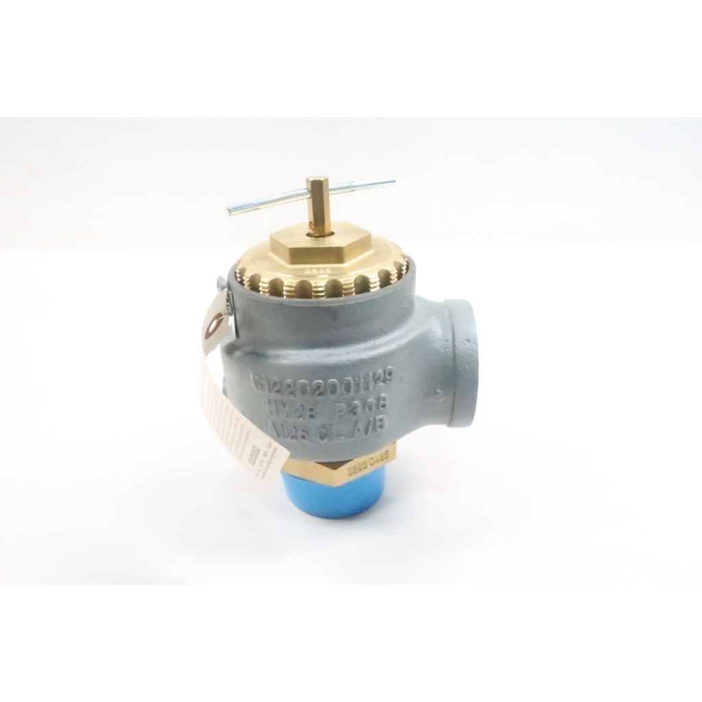 Kunkle 337-H01ANE Relief Valve 531cfm 5psi 2in Npt