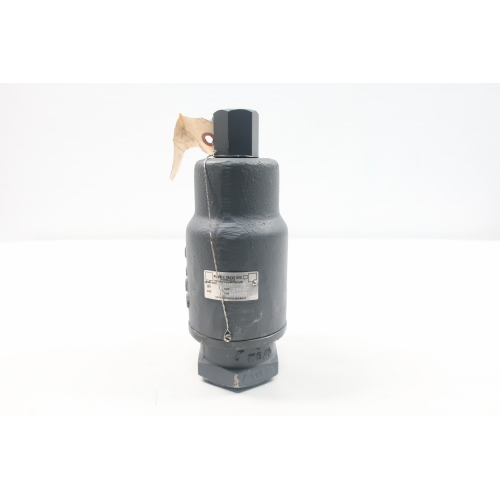 Kunkle 171-H01-MG Relief Valve 296gpm 250psi 2in Npt