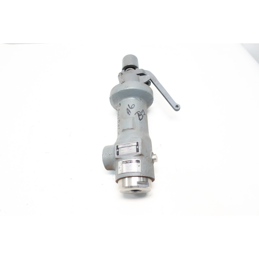 Lonergan LCT-30T 4554 Lb/hr Iron 600psi 3/4in Npt Relief Valve