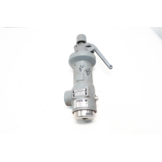 Lonergan LCT-30T 4554 Lb/hr Iron 600psi 3/4in Npt Relief Valve