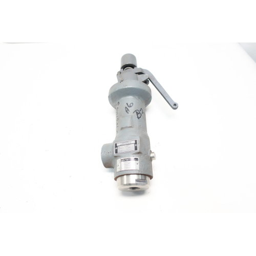 Lonergan LCT-30T 4554 Lb/hr Iron 600psi 3/4in Npt Relief Valve