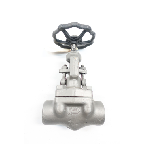 Lunkenheimer 1717W Manual Steel Socket Weld Globe Valve 1in 800