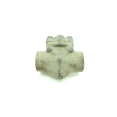 Lunkenheimer 2317W Steel Socket Weld 800 2in Check Valve