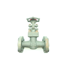 Lvf 6BR103 Manual Steel Flanged Gate Valve 1/2in 600