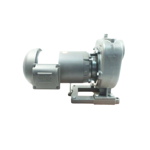 Nikuni 40CPFD6-15ZE-T16 Centrifugal Pump 2hp 1in 1-1/2in 230/460v-ac