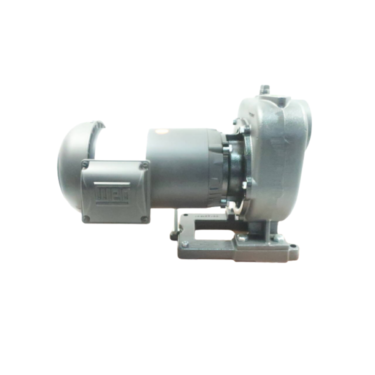 Nikuni 40CPFD6-15ZE-T16 Centrifugal Pump 2hp 1in 1-1/2in 230/460v-ac
