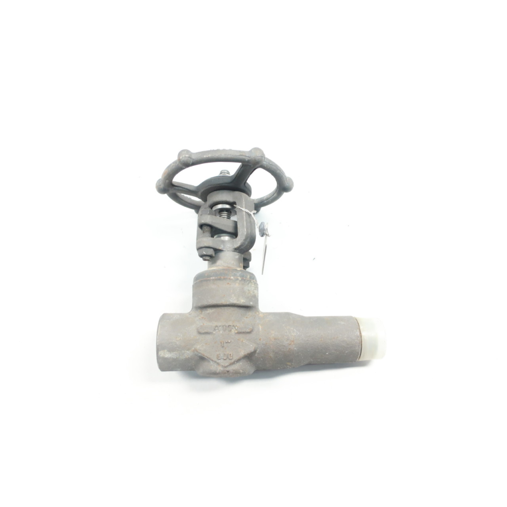 Omb MLB-810-5-MSWXFPT-NACE Manual Steel Wedge Gate Valve 1in 800