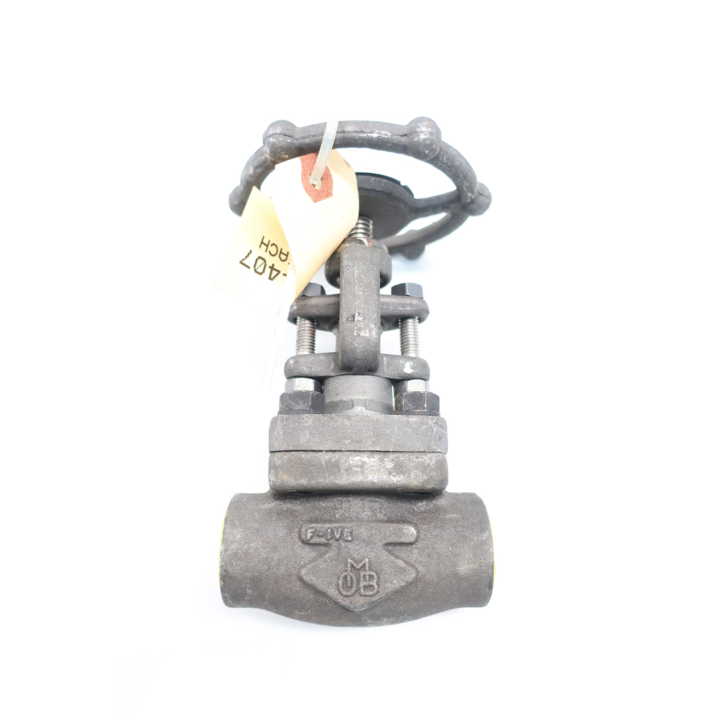 Omb Manual Steel Socket Weld Globe Valve 3/4in 800