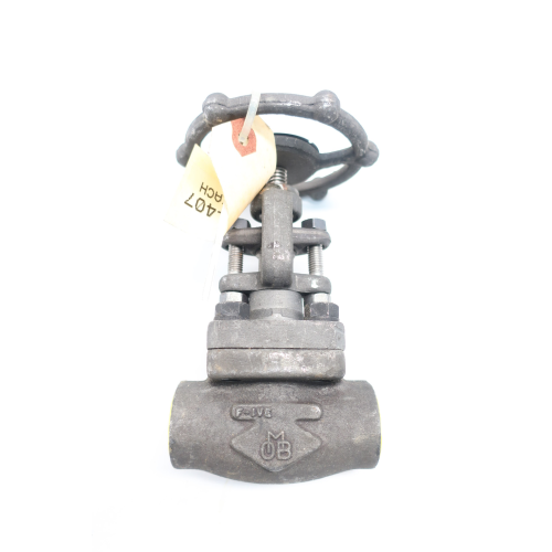 Omb Manual Steel Socket Weld Globe Valve 3/4in 800