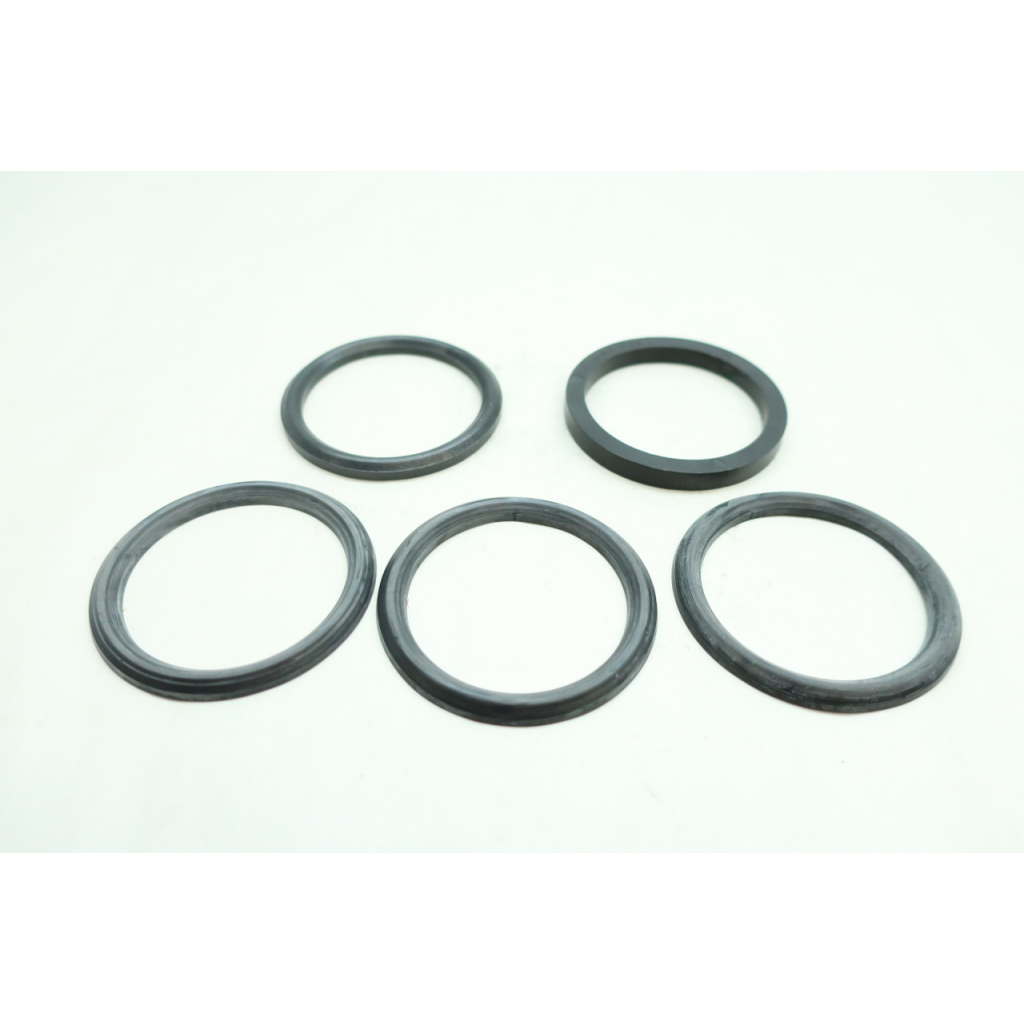 PAV250F PAV250M Seal Set