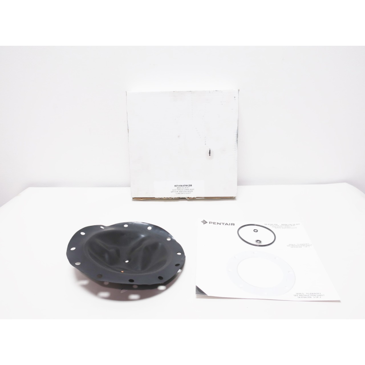 Pentair 04.4744.258 4 X 6 Type 93 O-ring Seat Main Valve Kit