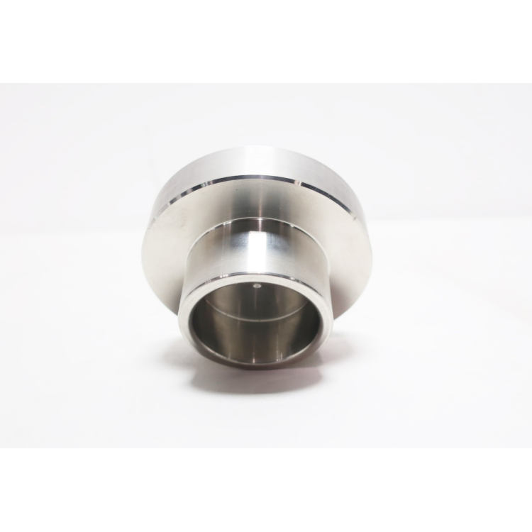 Pentair 0510650 2-1/2in Male Valve Disc