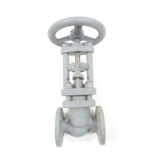 Phonix Armaturen-werke Steel Flanged Globe Valve 1/2in 150