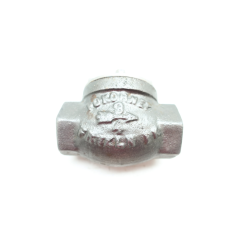 Pokorney Iron Swing Gate Check Valve 1in Npt