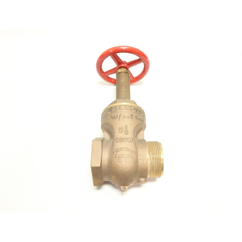 Powhatan Brass Wedge Gate Valve 200 2-1/2in Npt