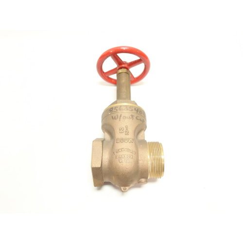 Powhatan Brass Wedge Gate Valve 200 2-1/2in Npt