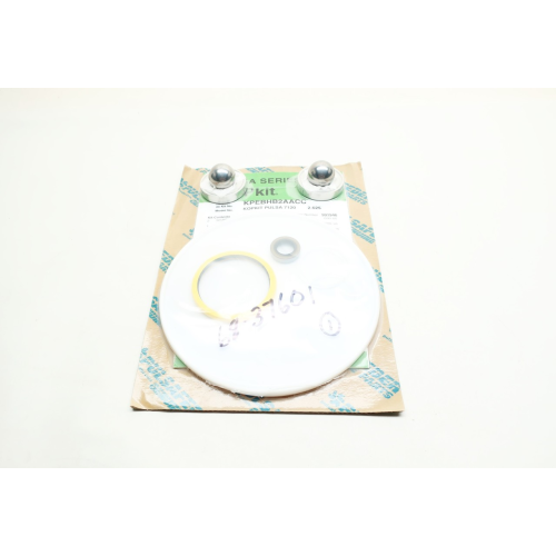 Pulsafeeder KPEBEB2AACC Metering Pump Repair Kit 2-5/8in