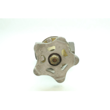 Rego 2507 Globe Valve 1in Npt