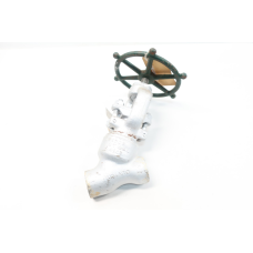 Rockwell F3624T Manual Steel Socket Weld Globe Valve 1in