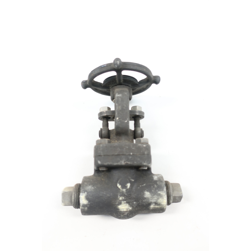 Rp&c EF56D Manual Steel Wedge Gate Valve 1/2in Npt 800