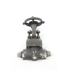Rp&c EF56D Manual Steel Wedge Gate Valve 1/2in Npt 800