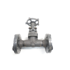 Rp&c EF608D Steel Flanged Wedge Gate Valve 600 1in