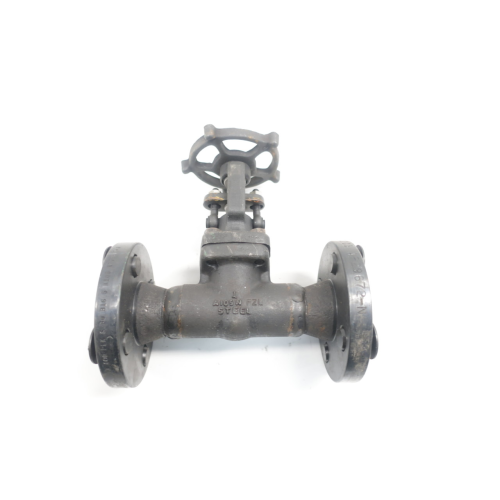 Rp&c EF608D Steel Flanged Wedge Gate Valve 600 1in
