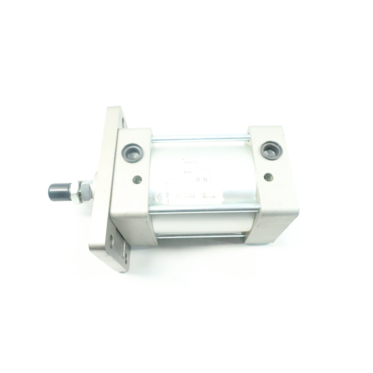 SMC C95SF100-50
