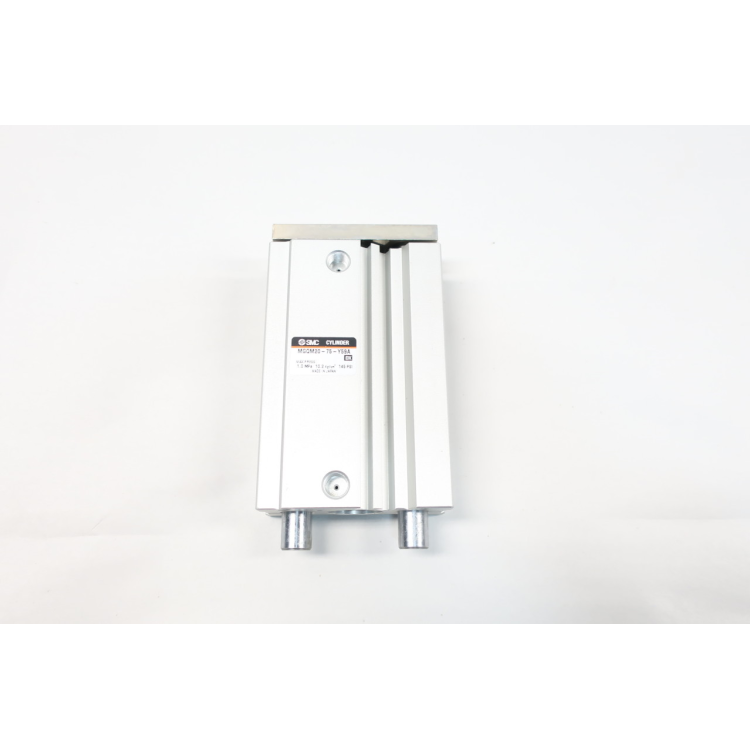 SMC MGQM20-75-Y59A