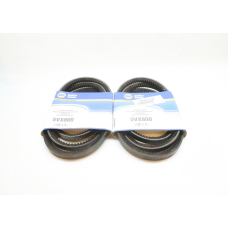 Set Of 2 Napa 5VX800 V-belt 80in Notched
