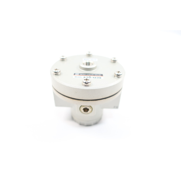 Smc XTO-1239 Pilot Check Valve 3/8in Npt