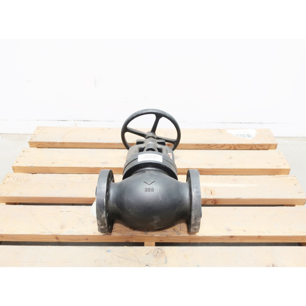 Stockham F-532K Manual 250 Iron Flanged 3in Globe Valve