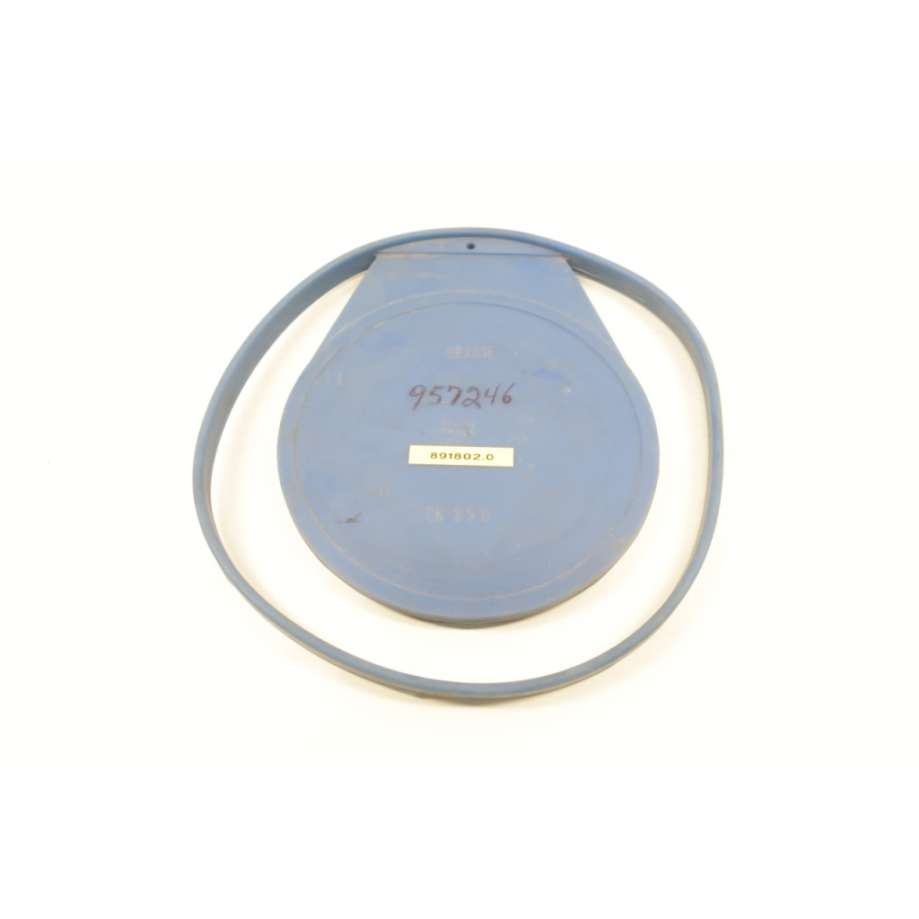 Strate DN250 Rubber Check Valve Disc 10in DN250