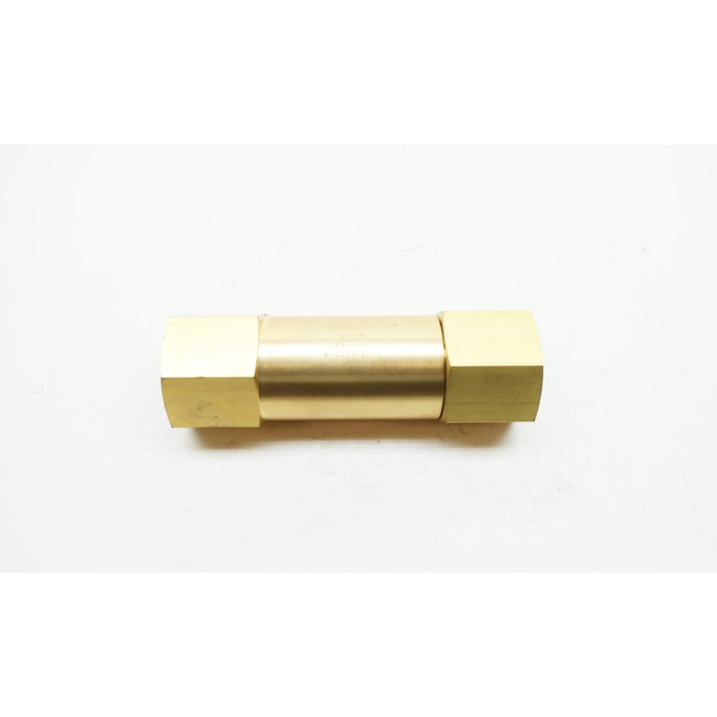 Swagelok B-12C4-EP-1 Check Valve Brass Threaded 3/4in Npt