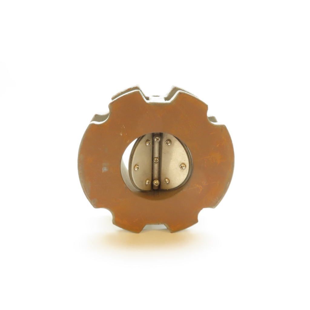 Technocheck Valve 2.5 5118 Iron Check Valve 2-1/2in