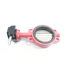 Townley TM-3 Iron Stainless Wafer Butterfly Valve 6in