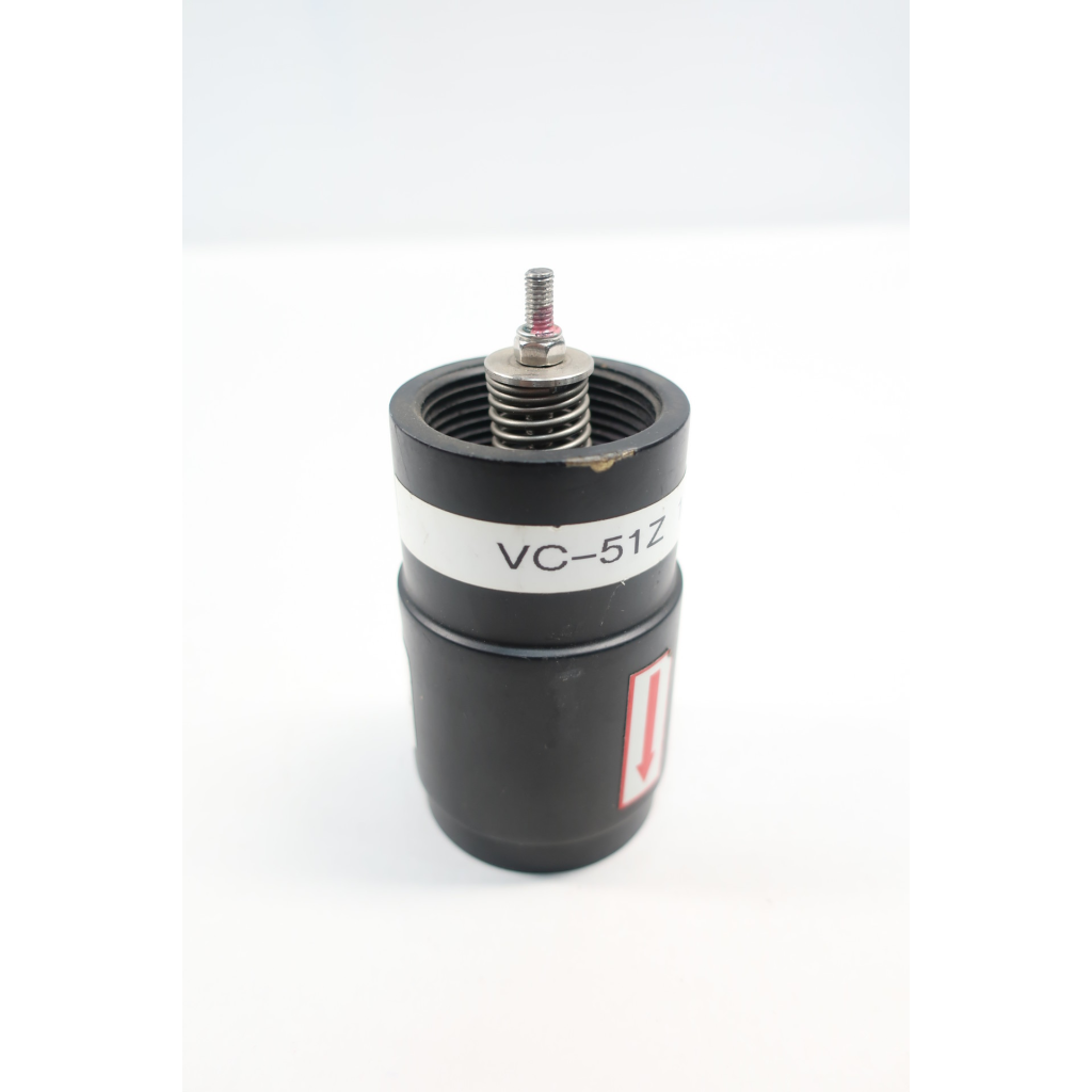 VC-51Z RG-208 Check Valve 1-1/4in Npt