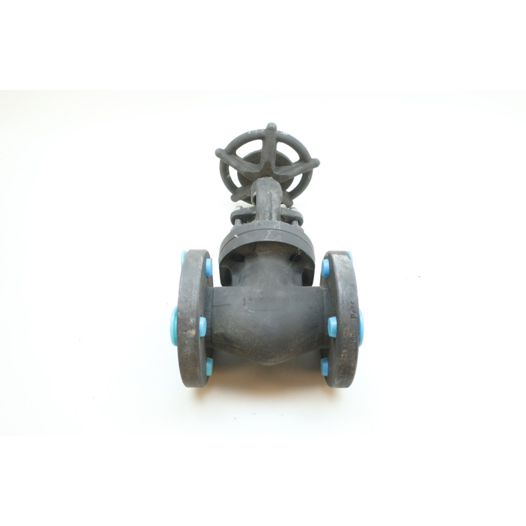 Vogt 473 Flowserve Globe Valve Manual 150 Steel Flanged 1in