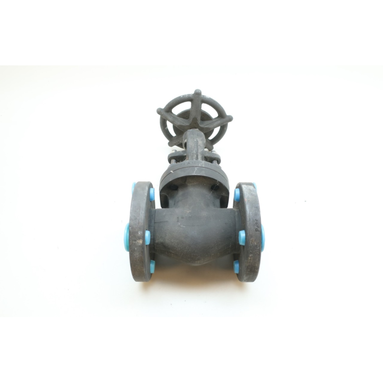 Vogt 473 Flowserve Globe Valve Manual 150 Steel Flanged 1in
