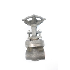 Vogt 12111 Manual Steel Wedge Gate Valve 3/8in Npt 800