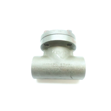 Vogt SWS-701 Steel Socket Weld Check Valve 1in