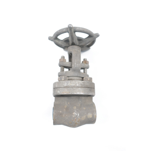 Vogt SW-12111 Flowserve Steel Socket Weld Wedge Gate Valve 3/8in 800
