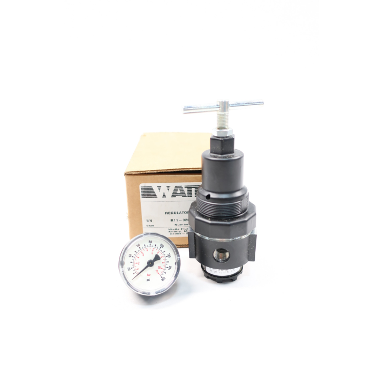 WATTS R11-02CGK/M3