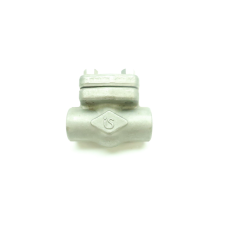 Warren 803HF Stainless Socket Weld Swing Gate Check Valve 3/4in 800
