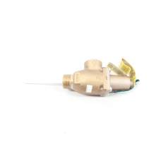 Watts M129724N Relief Valve 125psi 1in Npt