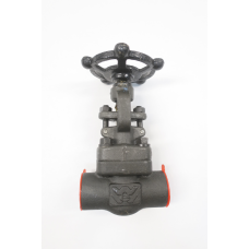 William E Williams F802SW-2N Steel Socket Weld Globe Valve 3/4in 800