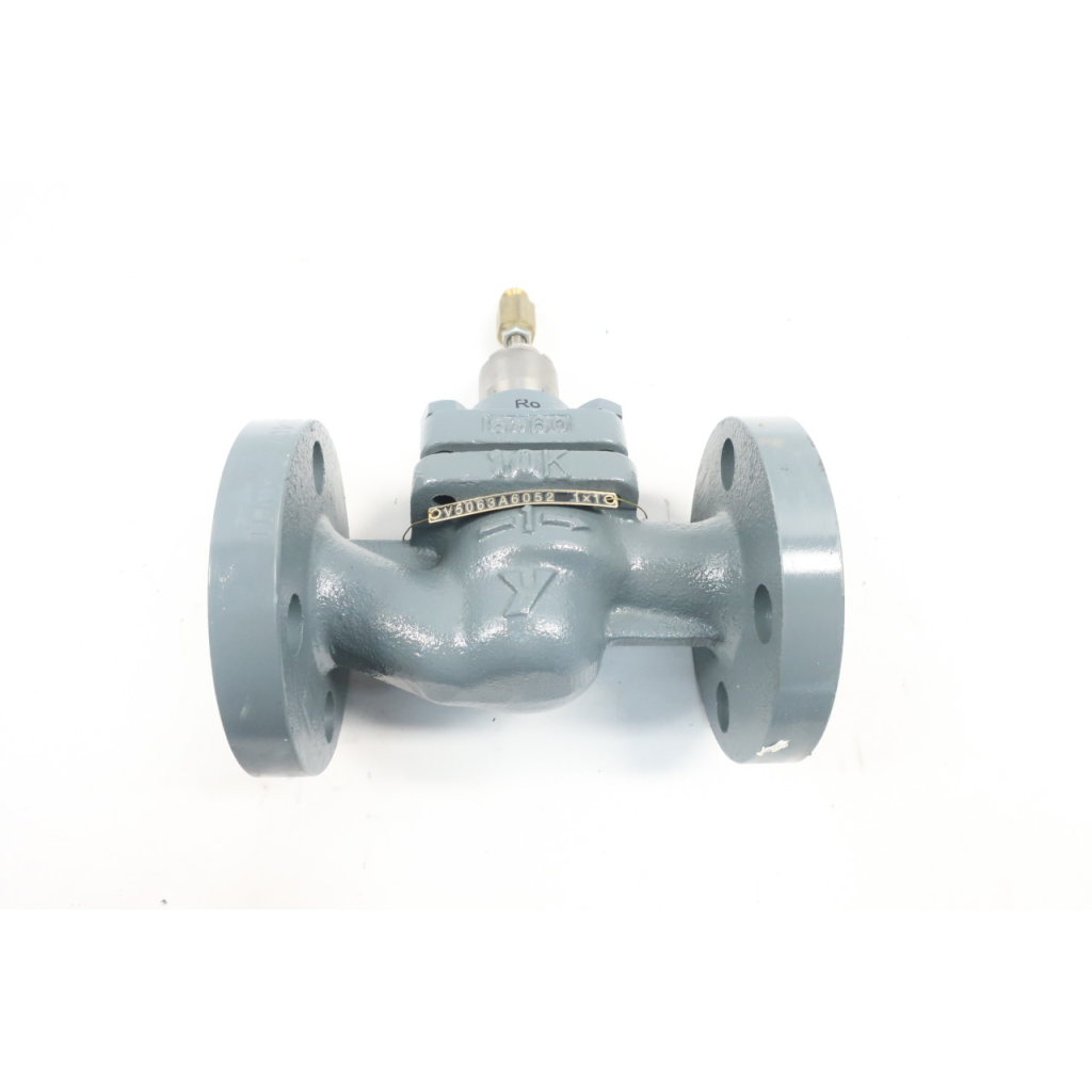 Yamatake V5063A6052 Iron Flanged Plug Valve 1in